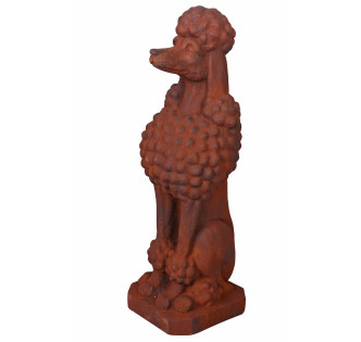 CANICHE POODLE GATEKEEPER RUSTY