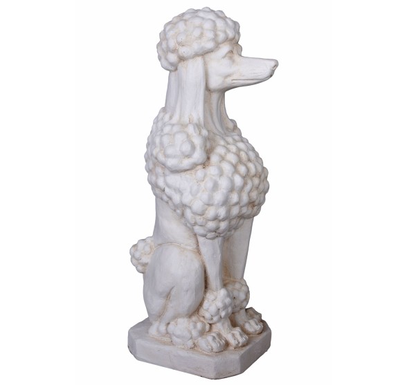 CANICHE POODLE GATEKEEPER WHITE